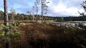 Рыбалка на жерлицы на озере в Архангельской области
