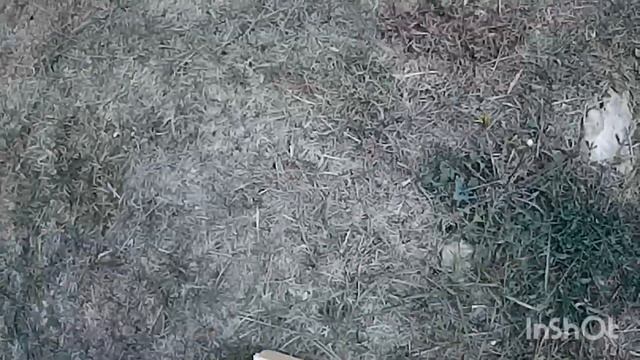 Молоток американских строителей. Мои впечатления. смотреть онлайн