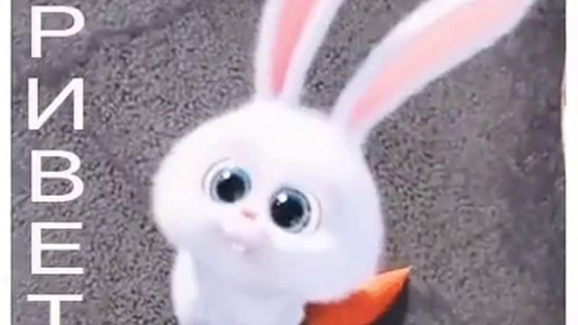 Милый зайчик смотреть онлайн