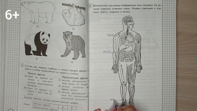 Рассмотрите рисунок человека. Задания ВПР 4 класс окружающий мир 2022.