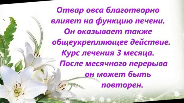 Доктор Синяков: избавляемся от упадка сил