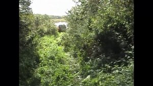 Подводная охота в реке "Кашинка" под Кашином.