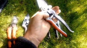 Секаторы для обрезки, которыми пользуюсь. Ответ на вопрос.