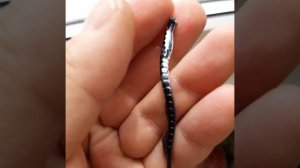 Приманка из медицинского силикона  #Минога