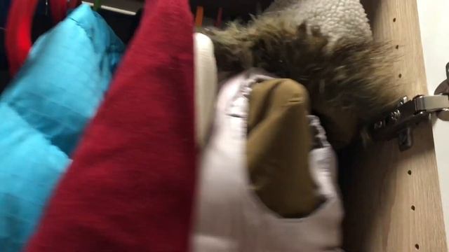 #Шкафы в прихожую из #Леруа #мерлен/организация вещей смотреть онлайн