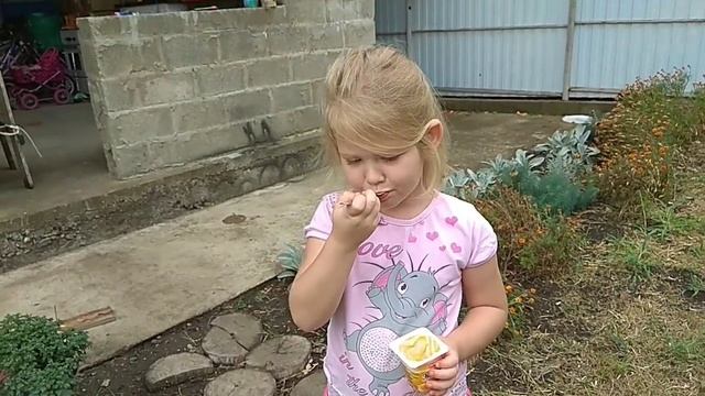 Зашиваем фронтоны.Даша боиться высоты.Прилетели лебеди.Домашняя пицца.Стройка дома своими руками. смотреть онлайн