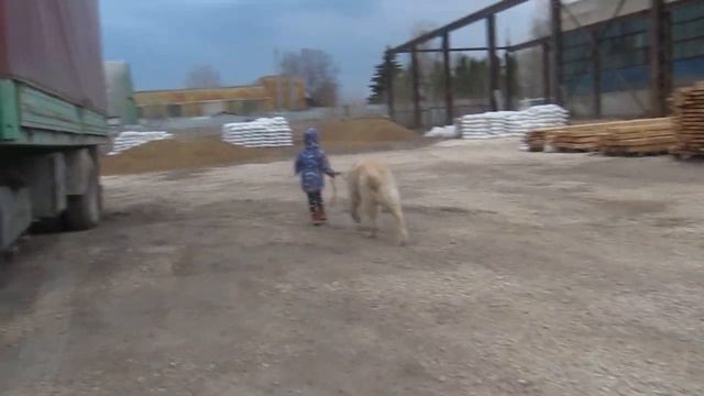 юный хендлер смотреть онлайн