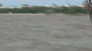 парусный катамаран на Амуре