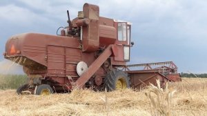 Žetva pšenice Kombajn GARGANEL - Vršaj pšenice