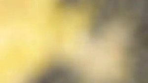 Как очистить подсолнухи гиганты! Деревенские семечки!