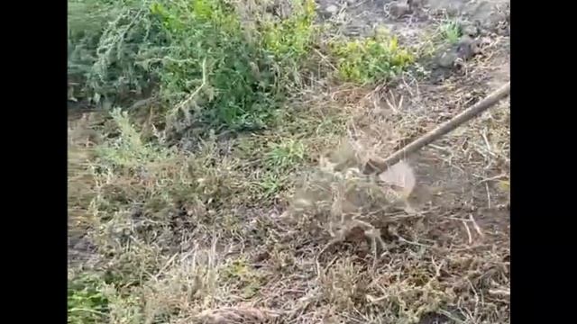 Супер фреза для Триммера (Бензокосы) смотреть онлайн