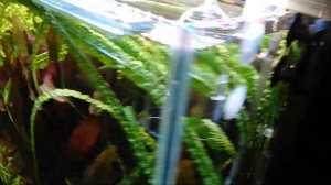 Реактор Со2 (выносной, установка)