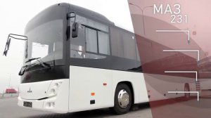 Автобус МАЗ 231