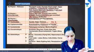 Full NCERT Examples Marathon | Class 11th Biology | NEET 2022 | Dr Gargi Singh