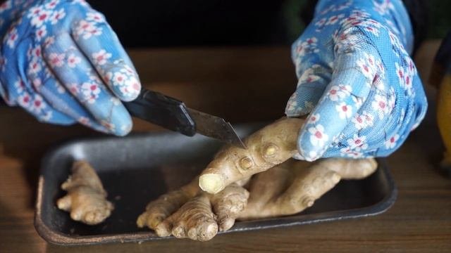 Как вырастить имбирь в домашних условиях