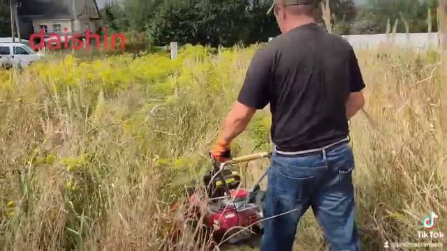 Косилка Daishin для высокой травы смотреть онлайн