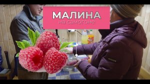 Малиновая настойка