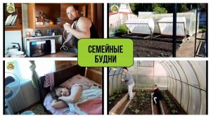 Семейный влог _ наша теплица _ семейный канал _ наш огород _ парники для огурцов своими руками.mp4