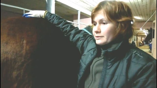 Как Полина Воробьева содержит своих лошадей?/ Дивные Кони