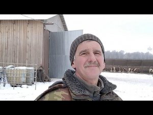 Ответы подписчикам и текущие дела