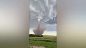 Случаи в Природе Один на Миллион(7)