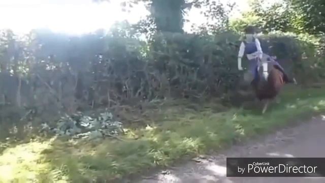 Конный спорт/ЖИТЬ смотреть онлайн