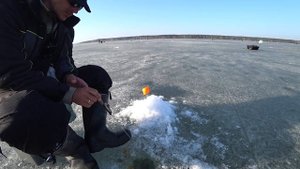 ЗА ТАКОЙ РЫБОЙ Я ГОТОВ ЕХАТЬ ХОТЬ НА КРАЙ СВЕТА. РЫБАЛКА НА БЕЗМОТЫЛКУ.