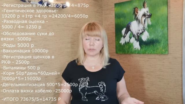 Сколько стоит китайская хохлатая или почему так дорого смотреть онлайн