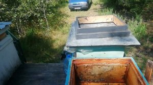 17.08.2022.года.Продолжаем готовить пчел к осени.