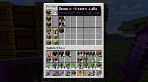 Minecraft 1.20.1 #21