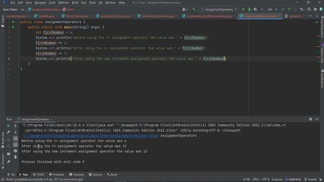Java Assignment Operators