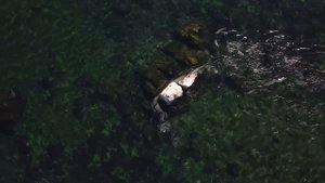 ВОКРУГ БАЙКАЛА ЗА 55 ДНЕЙ \ 1 серия \ КБЖД, Листвянка, бухта Песчаная, Бугульдейка