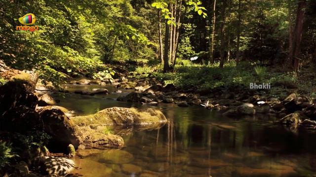 Meditation Music for Positive Energy | Peaceful Saxophone Music | Bhakti смотреть онлайн