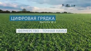 Цифровая грядка. Фермерство - точная наука