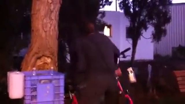 Кормление уличных кошек. смотреть онлайн