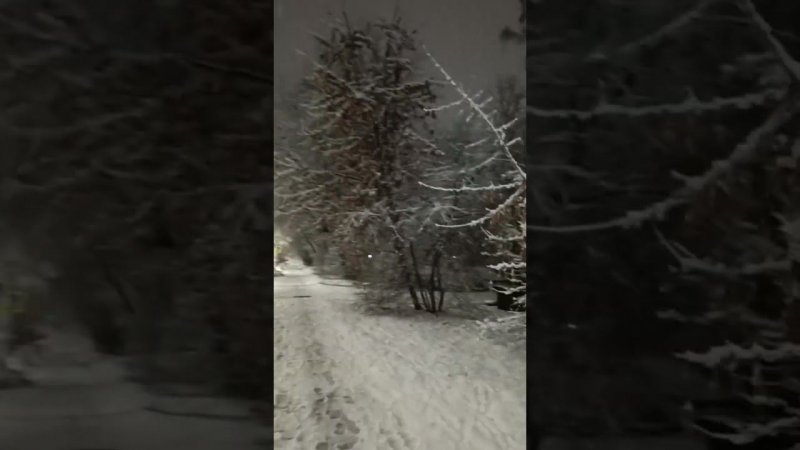 Ночной снегопад в Рязани