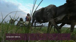 Оленевод не болей! / (кавер на песню "Донт ворри! Би хэппи!) /Альберт Окотэтто / Тагна Романова