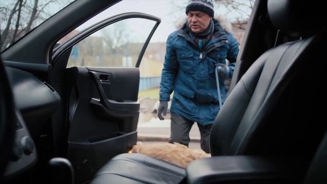 Как подружить собаку с машиной смотреть онлайн