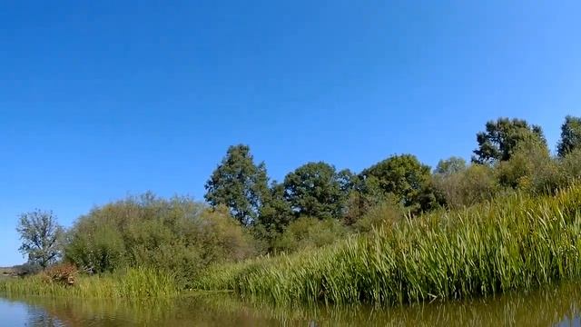 Неман, август, #байдарка... смотреть онлайн