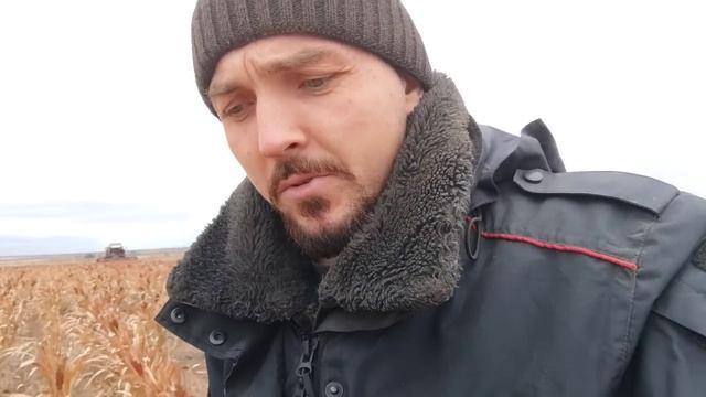 Завершение полевых работ, последняя уборка в этом сезоне. смотреть онлайн
