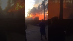 Пожар во Всеволожске на 4 линии, 24.03.2020 г.