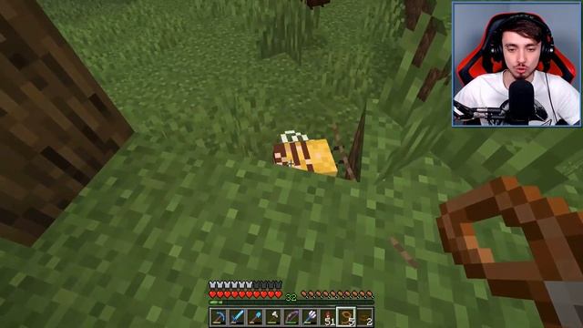 как одомашнить пчел в майнкрафте. 16. улей майнкрафт 1. майнкрафт яйцо призыва пчелы. как приручить пчелу в майнкрафт.