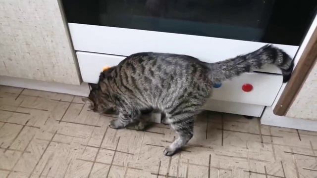 Таможня не дает добро ! смотреть онлайн