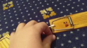 Деревянные мышеловки???????