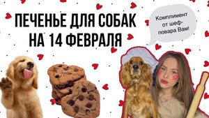 Готовим печенье для собак на 14 февраля!