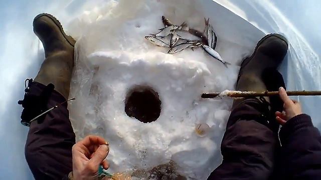 В марте эту ошибку на рыбалке допускают 75% рыбаков и ОСТАЮТСЯ БЕЗ РЫБЫ! НЕ ДОПУСТИ ЛОВИ ПРАВИЛЬНО! смотреть онлайн