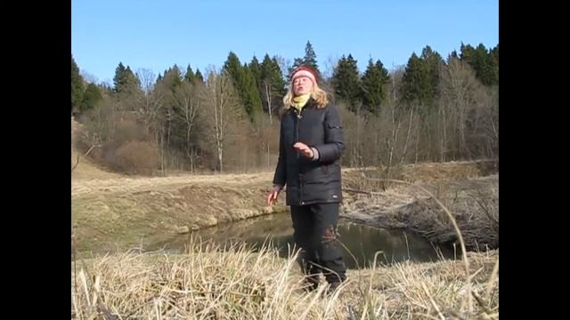 Марина Цветаева "Мракобесие..." смотреть онлайн