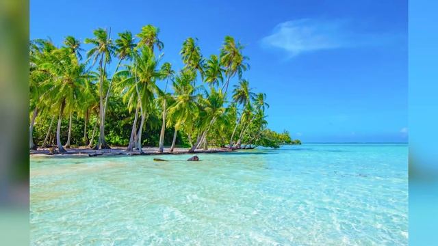 French Polynesia | The Best of French Polynesia Travel Guide
