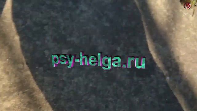 Река под мостом | Растения луга | Насекомые и улитки