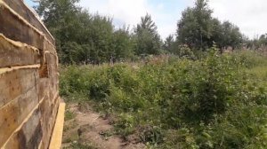 Стройка сарая идёт полным ходом!. Сарай из шпалы!  Сарай для телят и поросят.